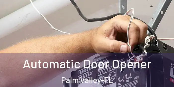  Automatic Door Opener Palm Valley-FL