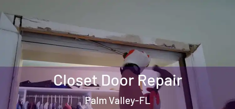  Closet Door Repair Palm Valley-FL