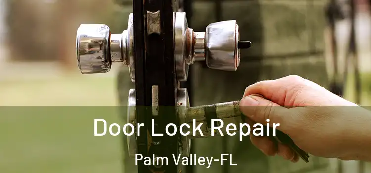 Door Lock Repair Palm Valley-FL