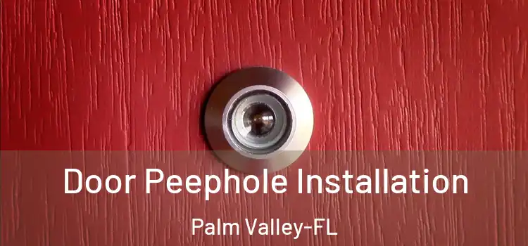 Door Peephole Installation Palm Valley-FL