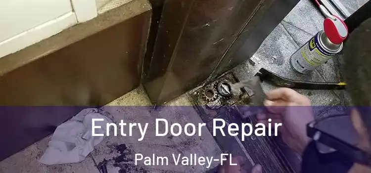  Entry Door Repair Palm Valley-FL