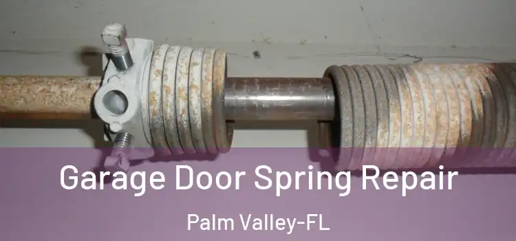  Garage Door Spring Repair Palm Valley-FL