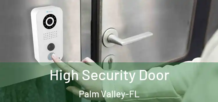  High Security Door Palm Valley-FL