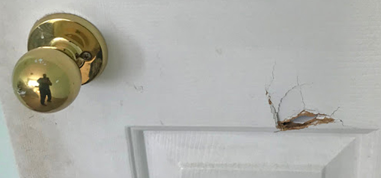 interior door hole repair Palm Valley