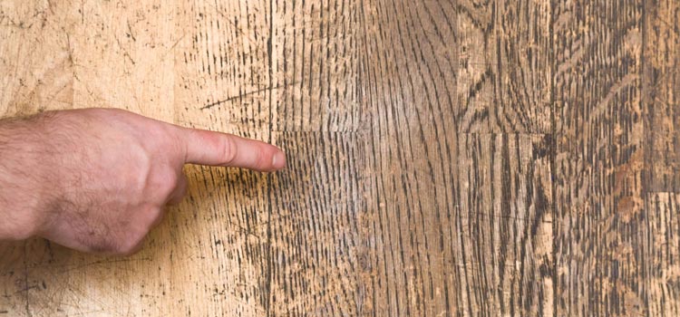 Wood Door Scratch Repair in Palm Valley